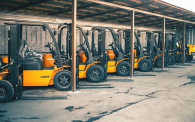 Damoli forklifts