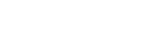 damoli forklift